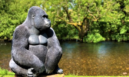 gorilla statue in the gardens at the anchor inn exebridge